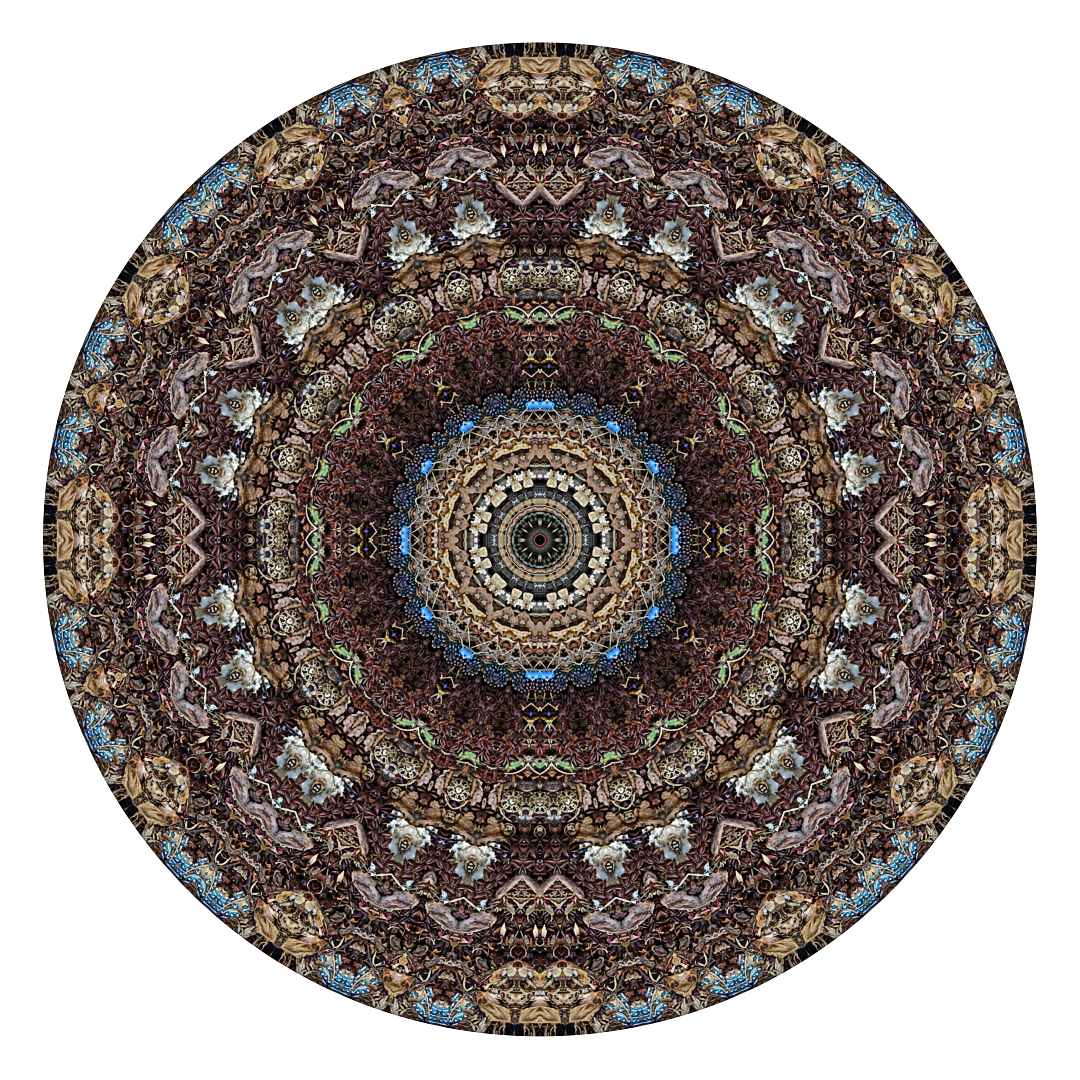 Wired Mandala - Stephen Calhoun