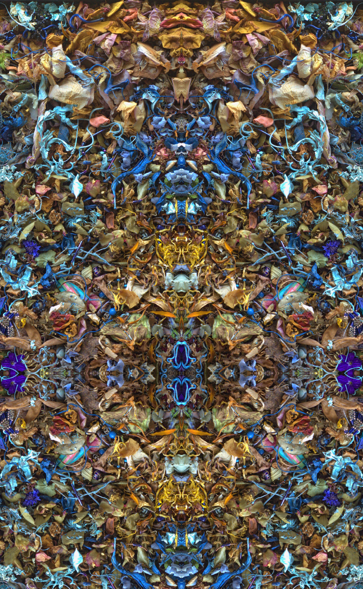 Symmetricavatina - Stephen Calhoun