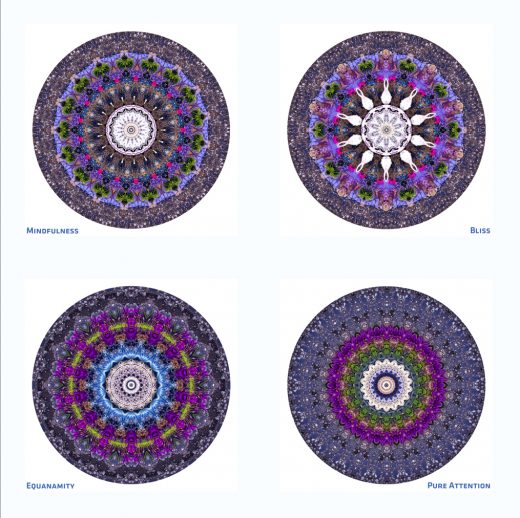 Stephen Calhoun - Four Concentrations